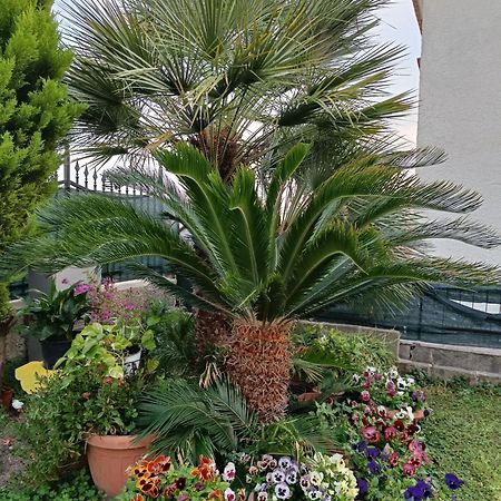 Bed And Breakfast Angolo Fiorito Civitavecchia Ngoại thất bức ảnh
