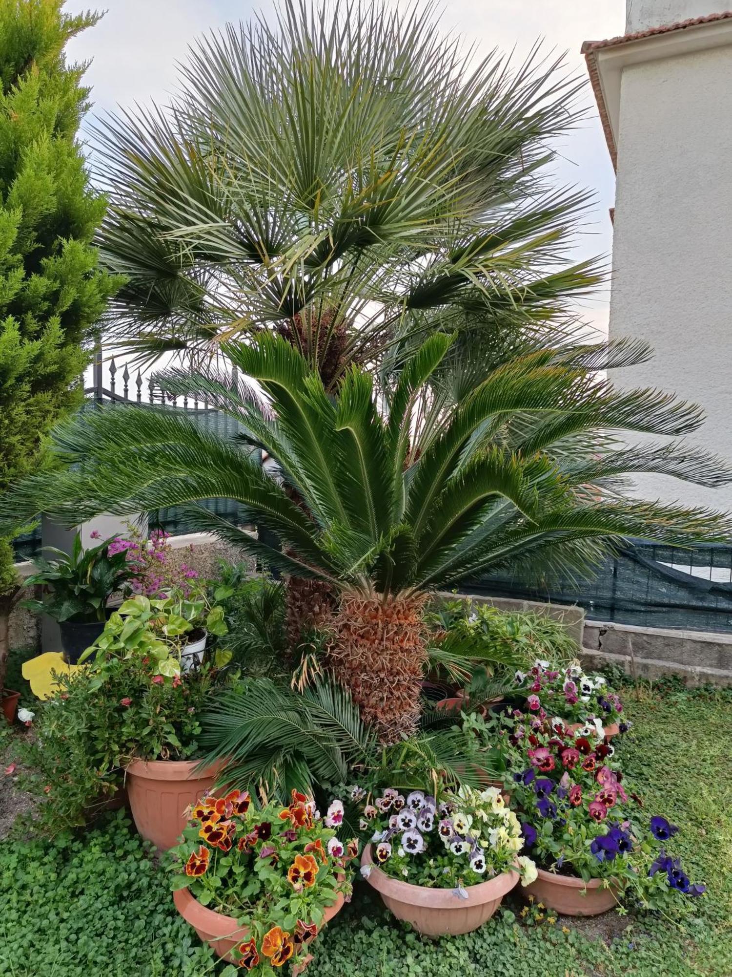 Bed And Breakfast Angolo Fiorito Civitavecchia Ngoại thất bức ảnh