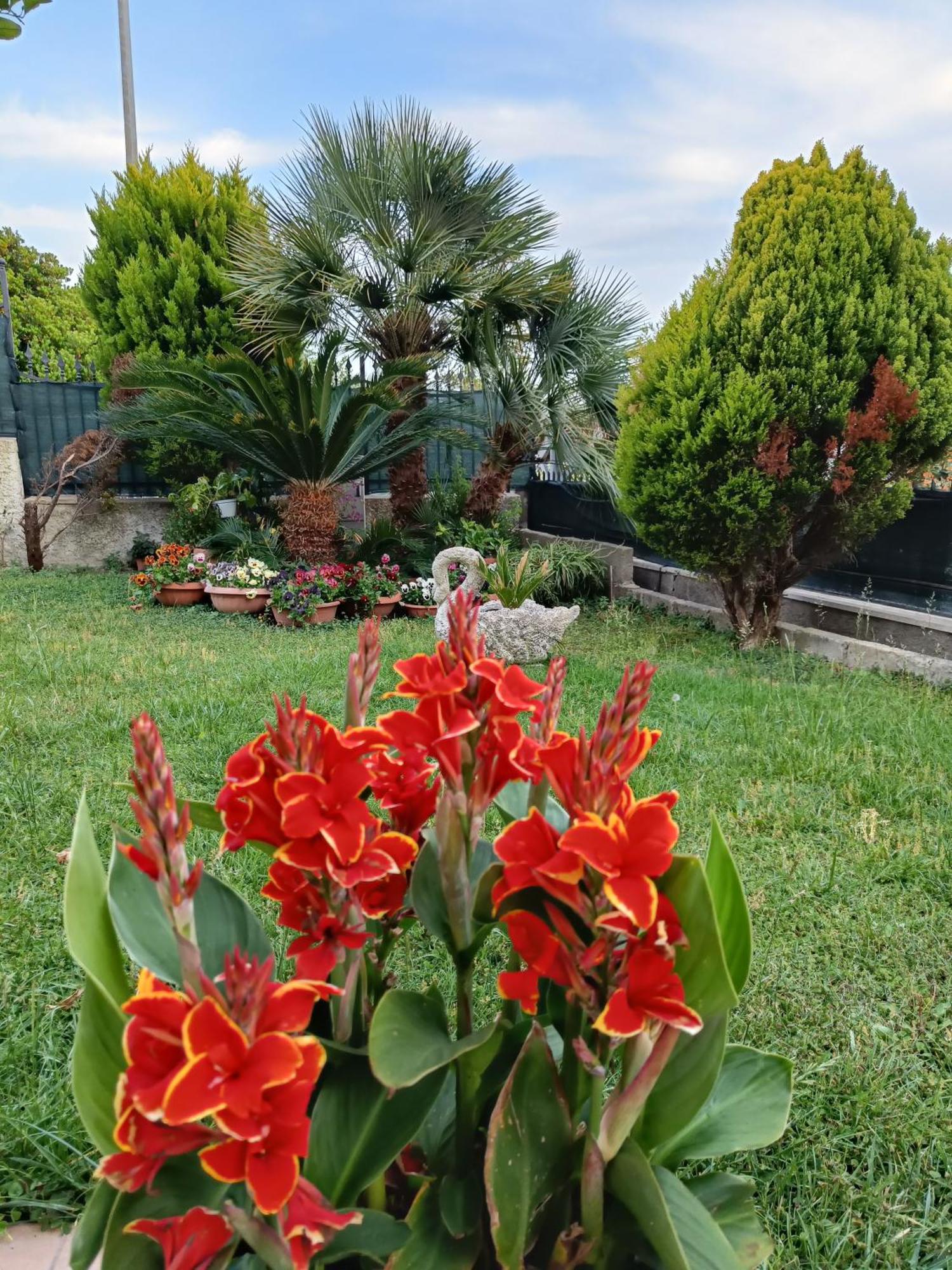 Bed And Breakfast Angolo Fiorito Civitavecchia Ngoại thất bức ảnh