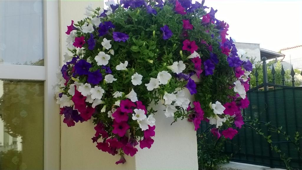 Bed And Breakfast Angolo Fiorito Civitavecchia Ngoại thất bức ảnh