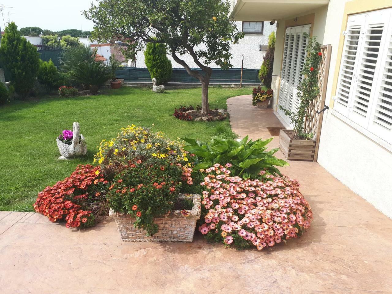 Bed And Breakfast Angolo Fiorito Civitavecchia Ngoại thất bức ảnh