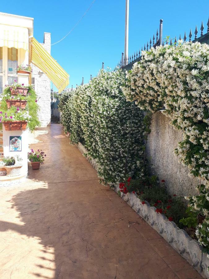 Bed And Breakfast Angolo Fiorito Civitavecchia Ngoại thất bức ảnh