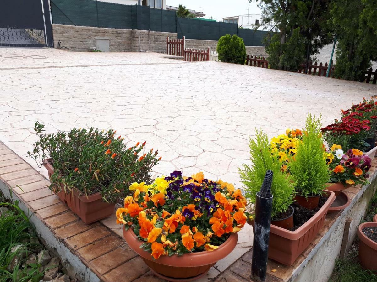 Bed And Breakfast Angolo Fiorito Civitavecchia Ngoại thất bức ảnh